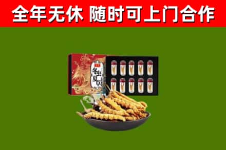 瀍河区回收冬虫夏草价格