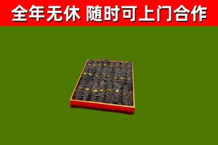 瀍河区回收海参